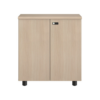Tủ hồ sơ The One NTV880D