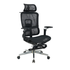 Ghế công thái học GLE25