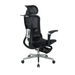 Ghế công thái học GLE25